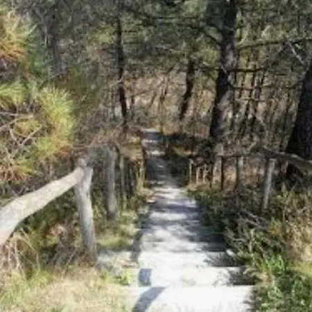 Britt Met Grote Tuin En Veel Privacy *