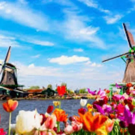 Britt Met Grote Tuin En Veel Privacy * Dirkshorn