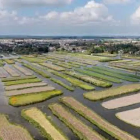 Дом отдыха Britt Met Grote Tuin En Veel Privacy *