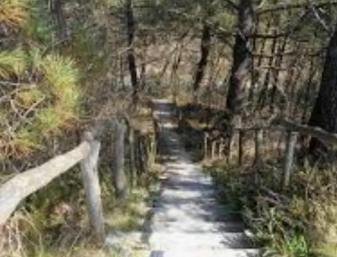 Britt Park De Horn *