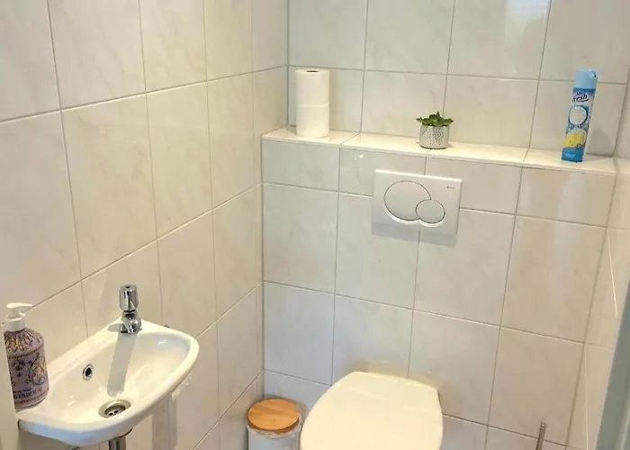 Britt Park De Horn * Dirkshorn