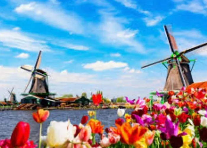 Britt Park De Horn * Dirkshorn