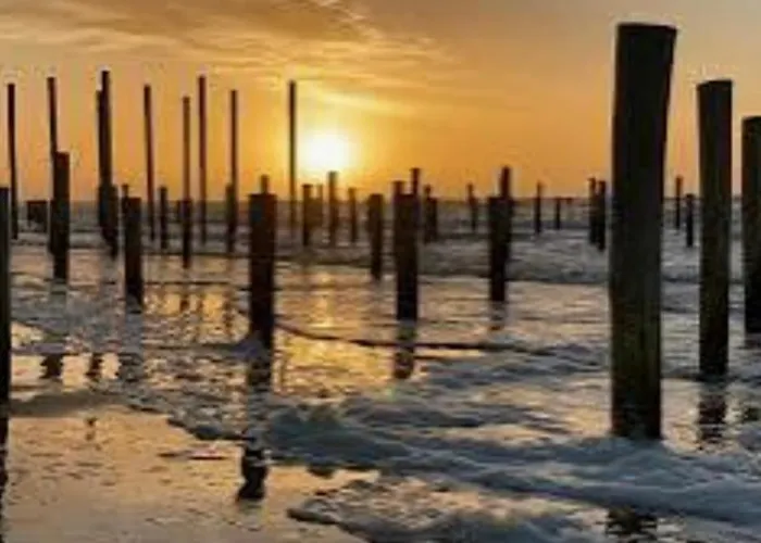 Britt Park De Horn *