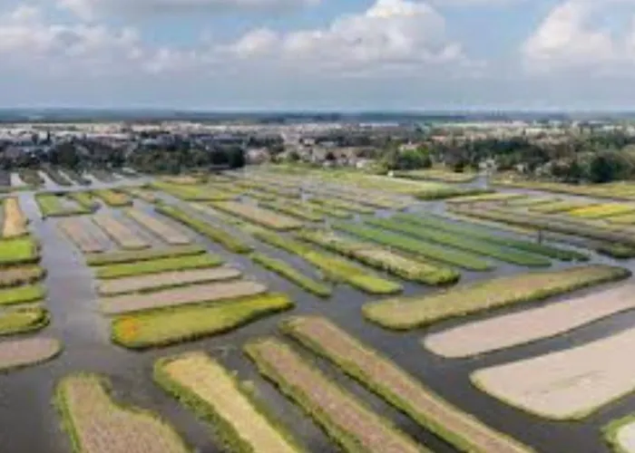 Vakantiehuis Britt Park De Horn *