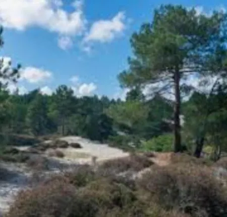 Hébergement de vacances Britt Met Grote Tuin En Veel Privacy Dirkshorn