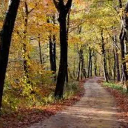 Britt Met Grote Tuin En Veel Privacy *